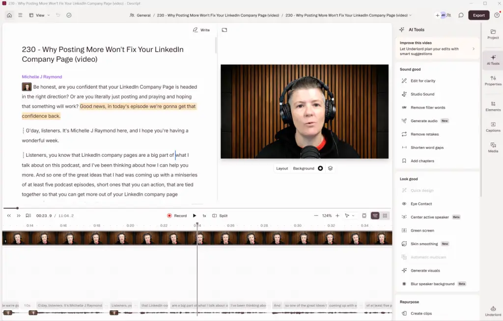 MICHELLE J RAYMOND DESCRIPT FOR VIDEO STREAMING